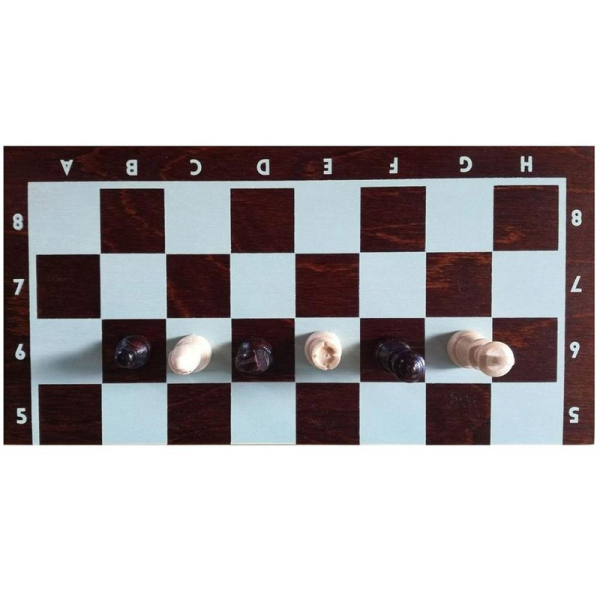 Magier Shakki, magneettinen 28 cm