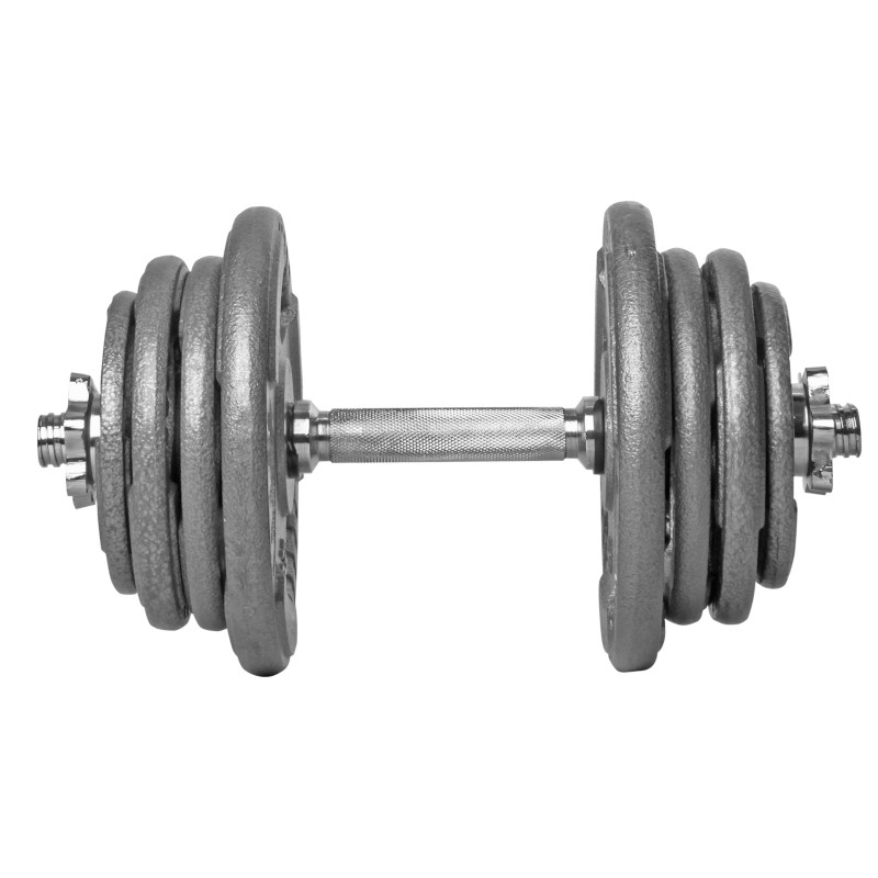Beltor PF Line Hantla żeliwna - Cast Iiron Dumbbell szara-hammertone 25kg / 28mm